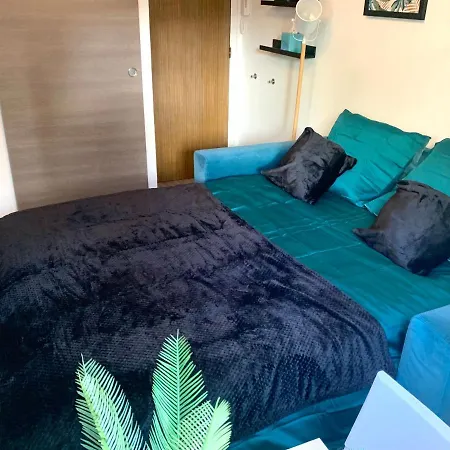 Palm Studio Apartment